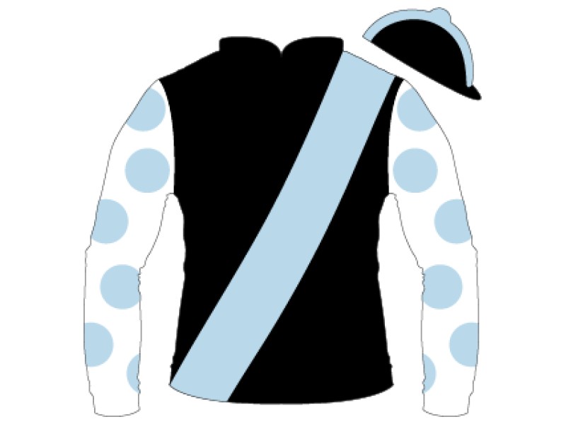Eclipse silks logo