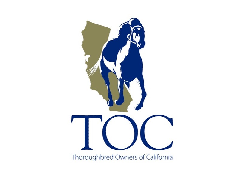 TOC logo